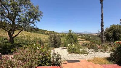 Rustic Finca in Centro photo 24