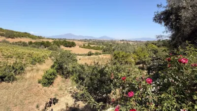 Rustic Finca in Centro photo 26