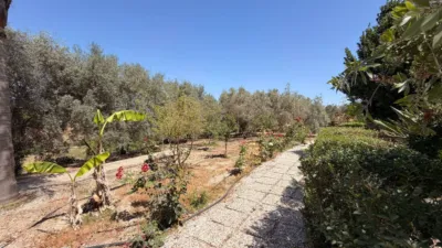 Rustic Finca in Centro photo 27