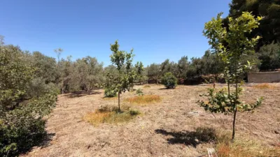 Rustic Finca in Centro photo 28