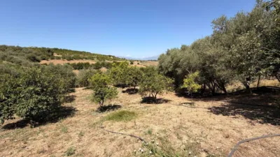 Rustic Finca in Centro photo 30
