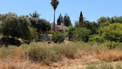Rustic Finca in Centro photo 34