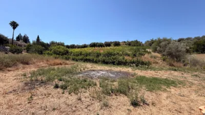 Rustic Finca in Centro photo 35