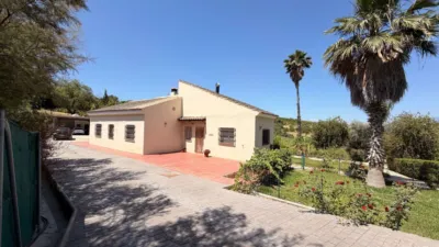 Rustic Finca in Centro photo 42