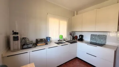 Rustic Finca in Centro photo 6