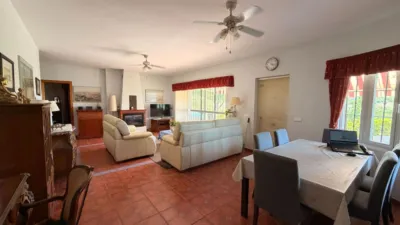Rustic Finca in Centro photo 9