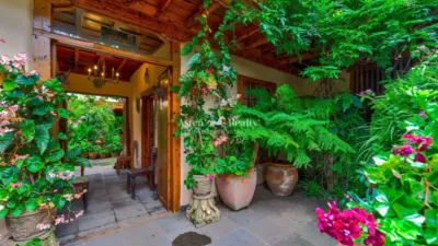 House in Icod de Los Vinos photo 16