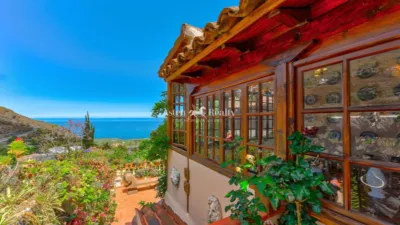 House in Icod de Los Vinos photo 55