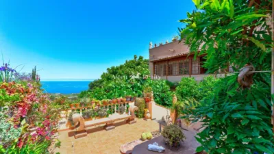 House in Icod de Los Vinos photo 56