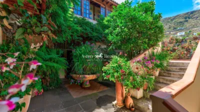 House in Icod de Los Vinos photo 76