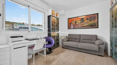 Semi-detached house on Calle Alcalde Pedro Acevedo Bisshopp, No. 20 photo 18