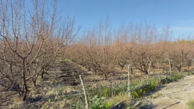 Piso – Beniarbeig, la Marina Alta - Vista 4