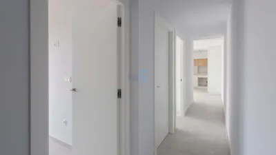 Apartment in Torrevieja photo 11