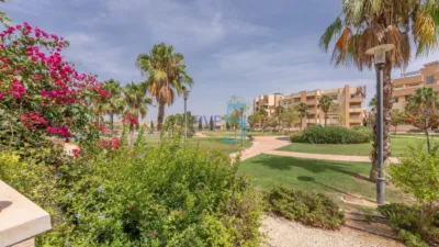 Apartment in United Golf Resort photo 29