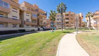 Apartment in United Golf Resort photo 3