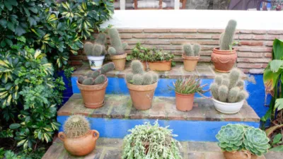 Rustic Finca in Coín photo 28