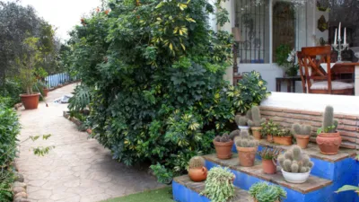 Rustic Finca in Coín photo 35