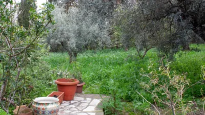 Rustic Finca in Coín photo 36