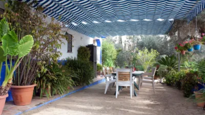 Rustic Finca in Coín photo 7