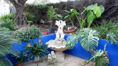 Rustic Finca in Coín photo 8