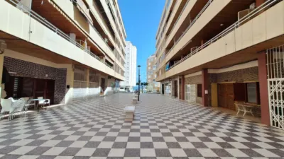 Apartment in Torrevieja photo 32