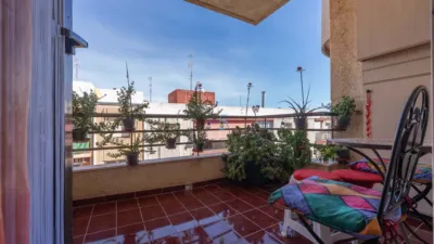 Apartment in Torrevieja photo 14