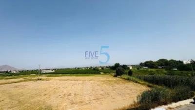 Apartment in Almoradi photo 18
