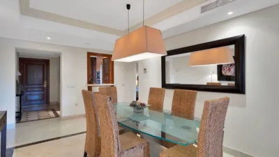 Apartment in Punta Plata photo 11
