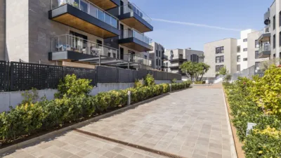 Piso en venta en Carrer de Joan Fuster i Ortells, Es Camp Redó (Distrito Nord. Palma de Mallorca) de 656.300 €