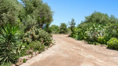 Casa en venta en Manacor, Manacor de 669.000 €
