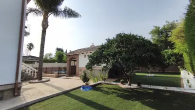 Chalet in Centro photo 34
