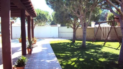 Chalet in Barbate photo 33