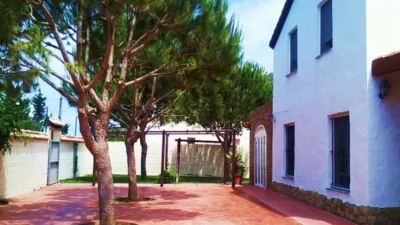 Chalet in Barbate photo 6