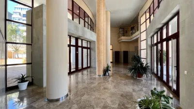Apartment in Playa photo 19
