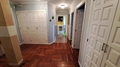 Apartment on Eduardo Martínez del Campo Street photo 13