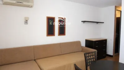 Apartment in Laguna del Sopetón photo 7