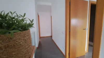 Duplex in Centre photo 25