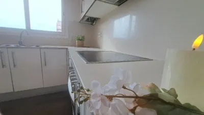Duplex in Centre photo 6