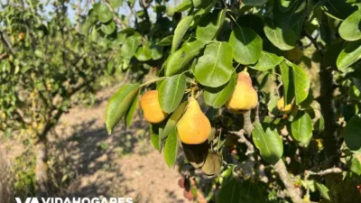 Rustic finca in Chipiona photo 21