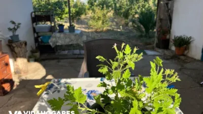 Rustic finca in Chipiona photo 24