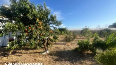 Rustic finca in Chipiona photo 25