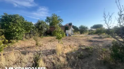 Rustic finca in Chipiona photo 26