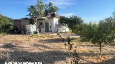 Rustic finca in Chipiona photo 2
