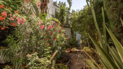 Chalet in Casares Area photo 6