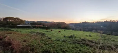 Terreno en venta en Santa Cruz de Mondoi - Vista 2