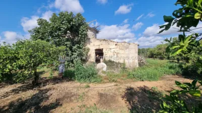 Rustic Finca in Muro photo 10
