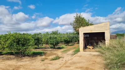 Rustic Finca in Muro photo 11