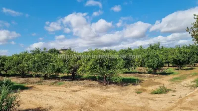 Rustic Finca in Muro photo 12
