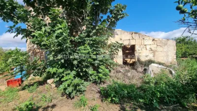 Rustic Finca in Muro photo 3