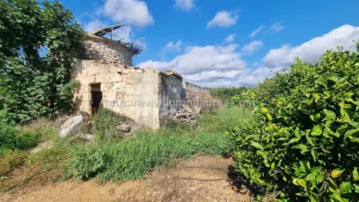 Rustic Finca in Muro photo 4